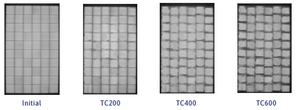 Termal çevrim testinde Initial, TC200, TC400 ve TC600 aşamalarındaki panel EL görüntüleri, artan hücre bozulması